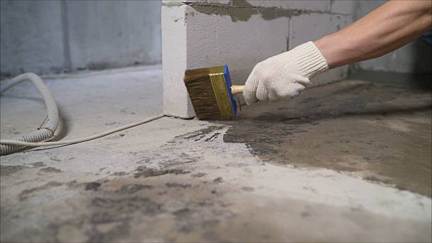Top rated local Basement Waterproofing specialists in Walled Lake, MI